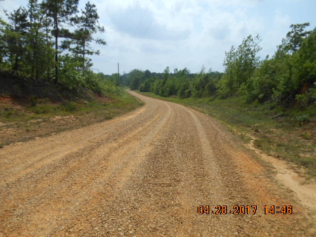 0 Mitchell Road Weir, MS 39772 - Photo 2 of 4 Photo 2