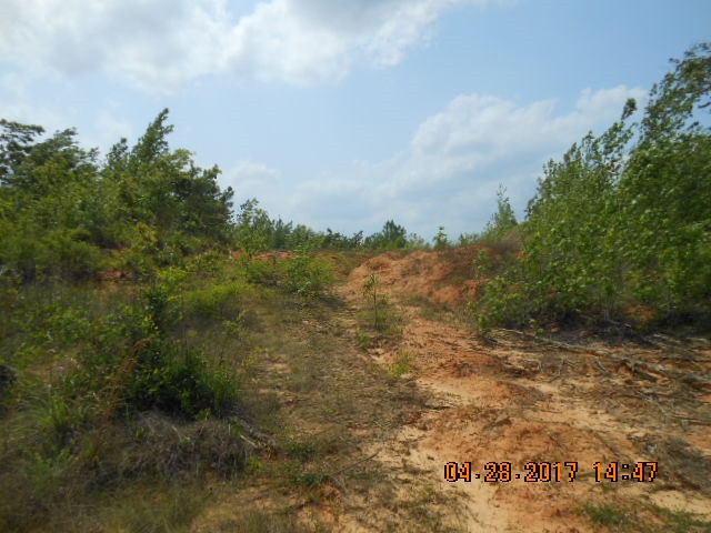 0 Mitchell Road Weir, MS 39772 - Photo 3 of 4 Photo 3