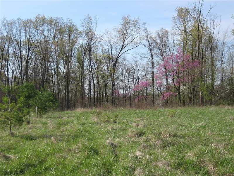 6 Lot 6 Fish Road Bloomington, IN 47408 - Photo 2 of 2
