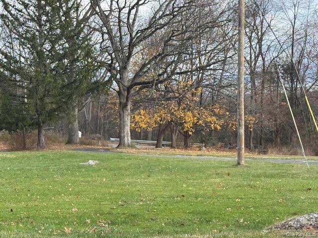 177 Riley Road New Windsor, NY 12553 - Photo 37 of 39 a backyard of apartments with large trees