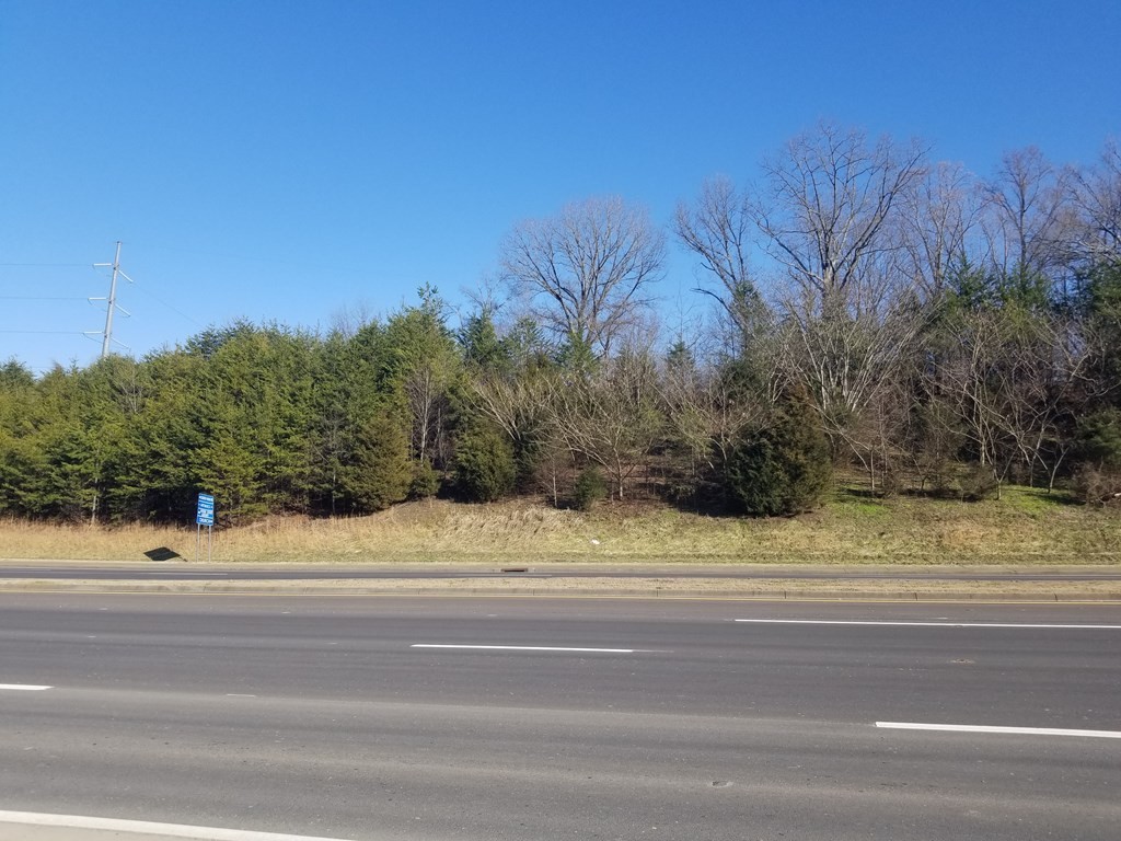 0 Center View Road Pigeon Forge, TN 37862 - Photo 10 of 19