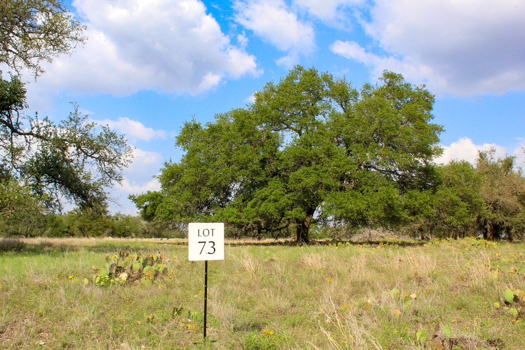 196 Apache Trace Northwest Harper, TX 78631 - Photo 2 of 3