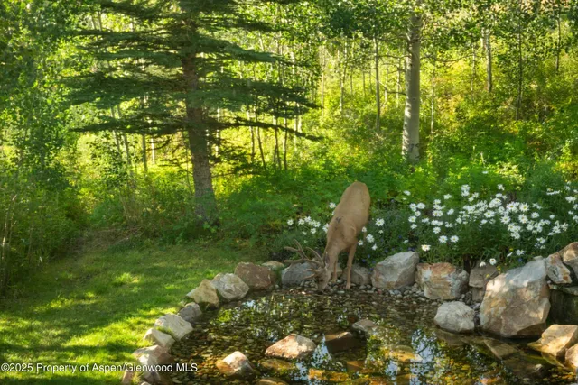 $19,500,000 | 1926 Faraway Road, Snowmass Village, CO 81615