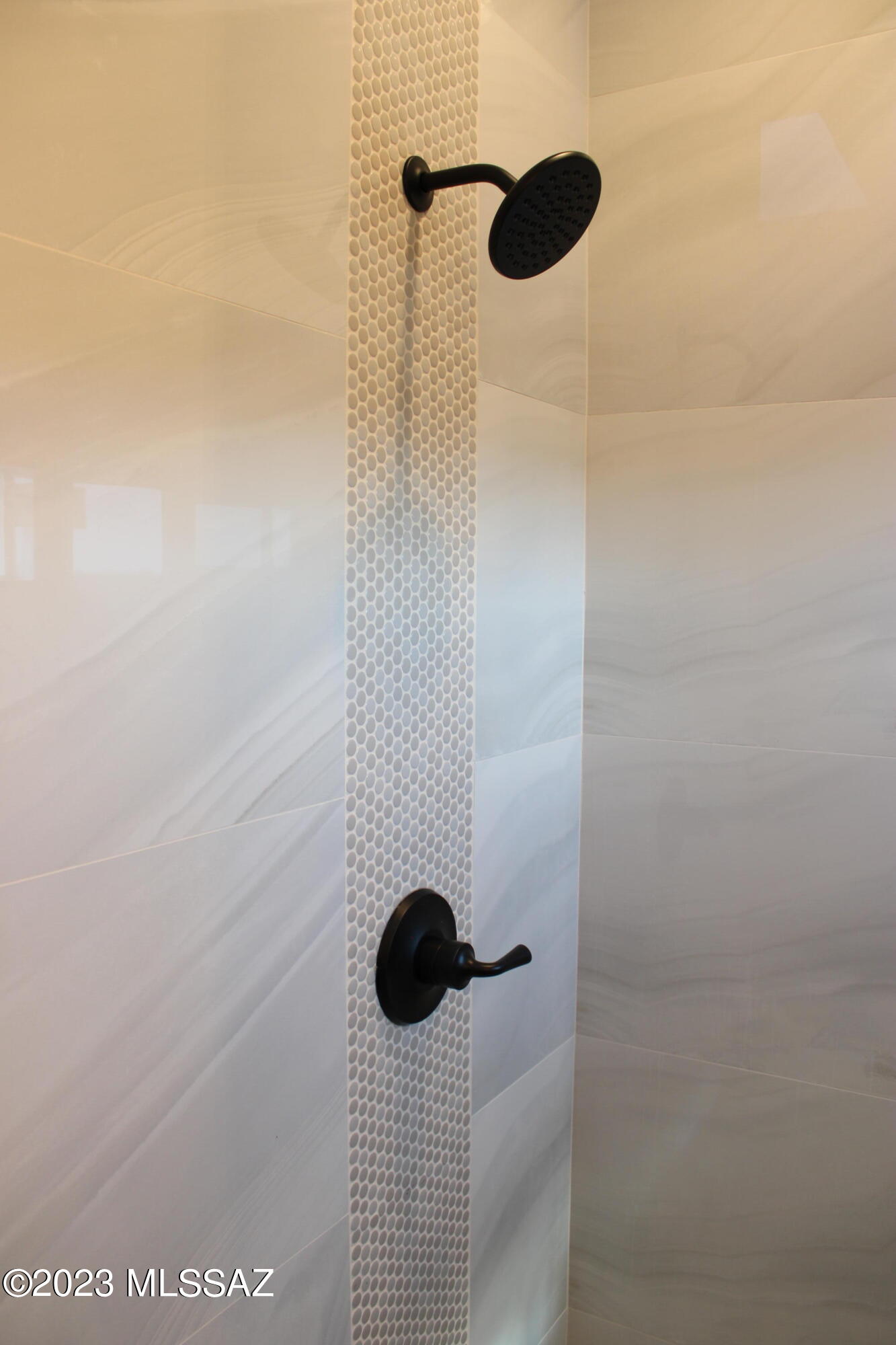 1715 Calle Playa Rio Rico, AZ 85648 - Photo 23 of 37 a bathroom with a shower