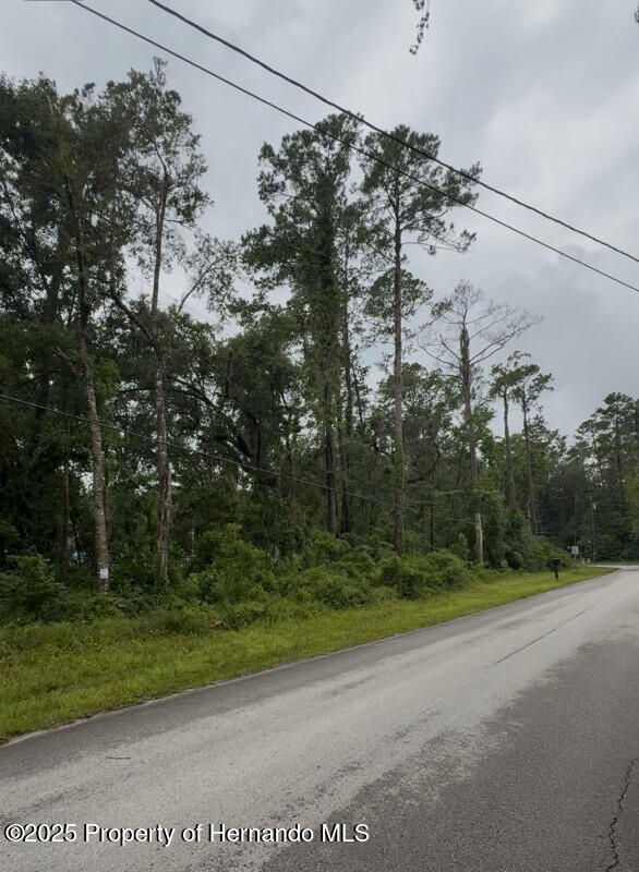0 Casey Road Brooksville, FL 34601 - Photo 2 of 2