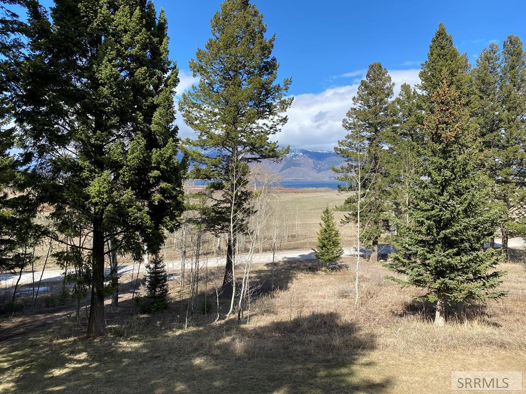 3616 Red Rock Road Island Park, ID 83429 - Photo 22 of 45 Red Rock Rd