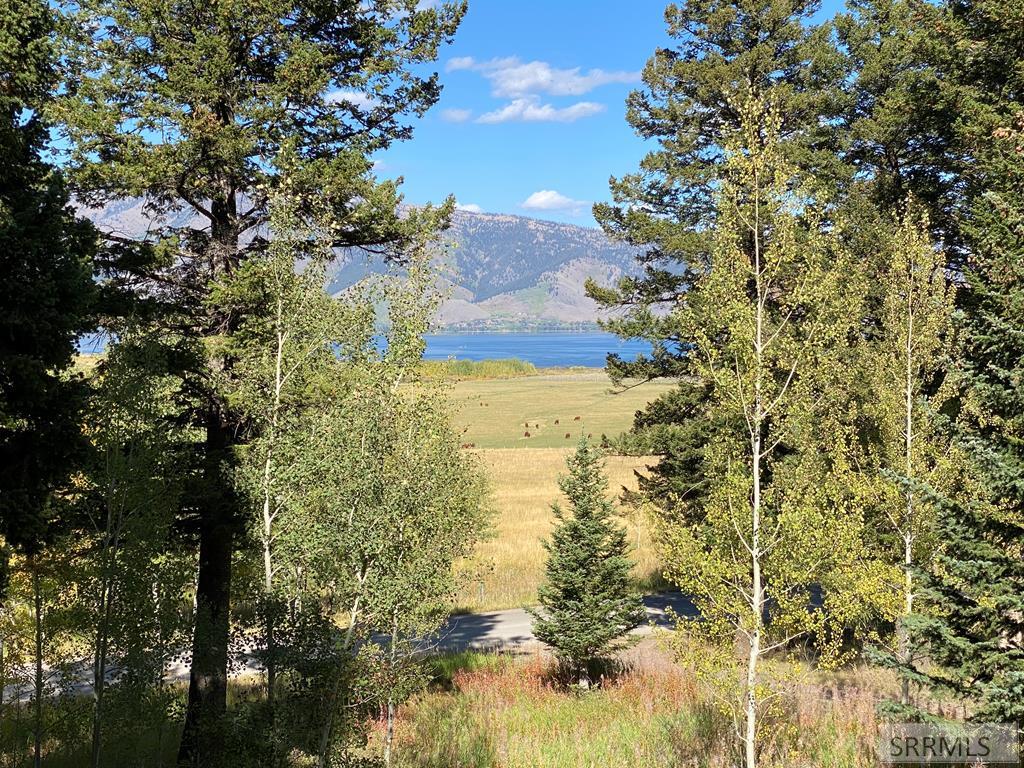 3616 Red Rock Road Island Park, ID 83429 - Photo 3 of 45 Henrys Lake View from deck