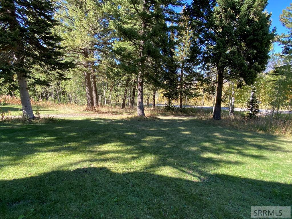 3616 Red Rock Road Island Park, ID 83429 - Photo 37 of 45 Front yard