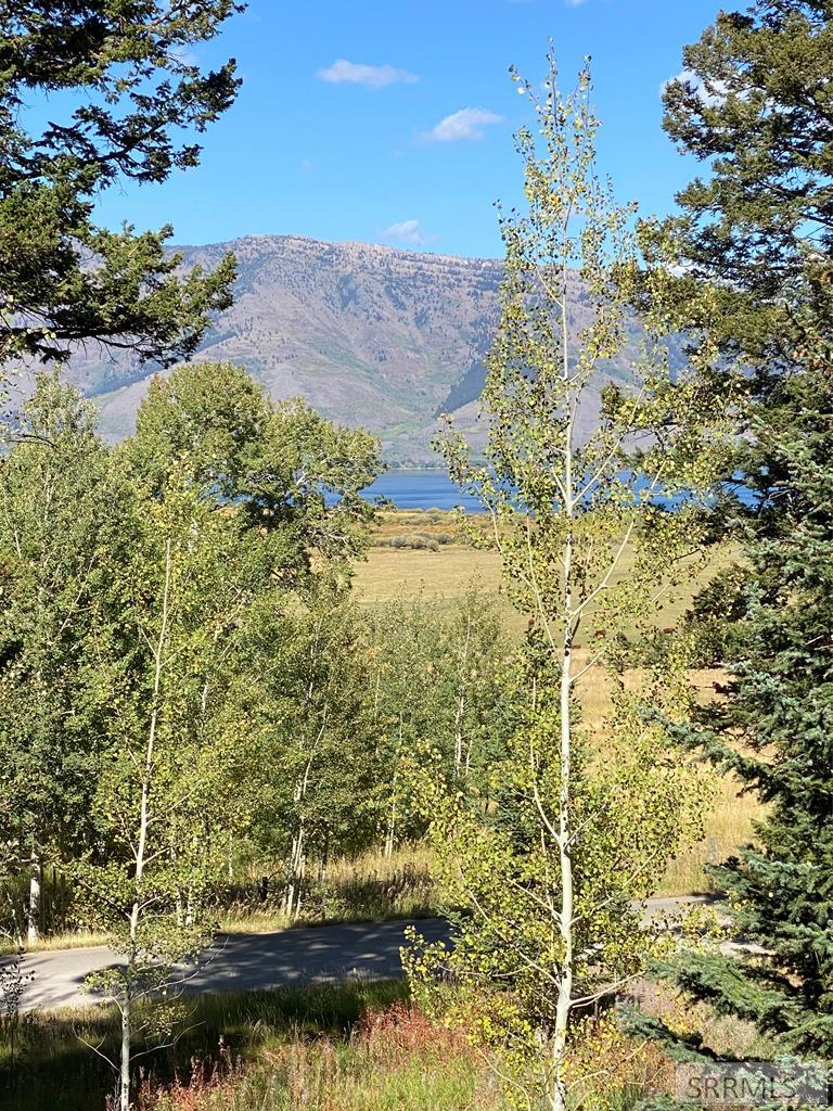 3616 Red Rock Road Island Park, ID 83429 - Photo 40 of 45 Lake
