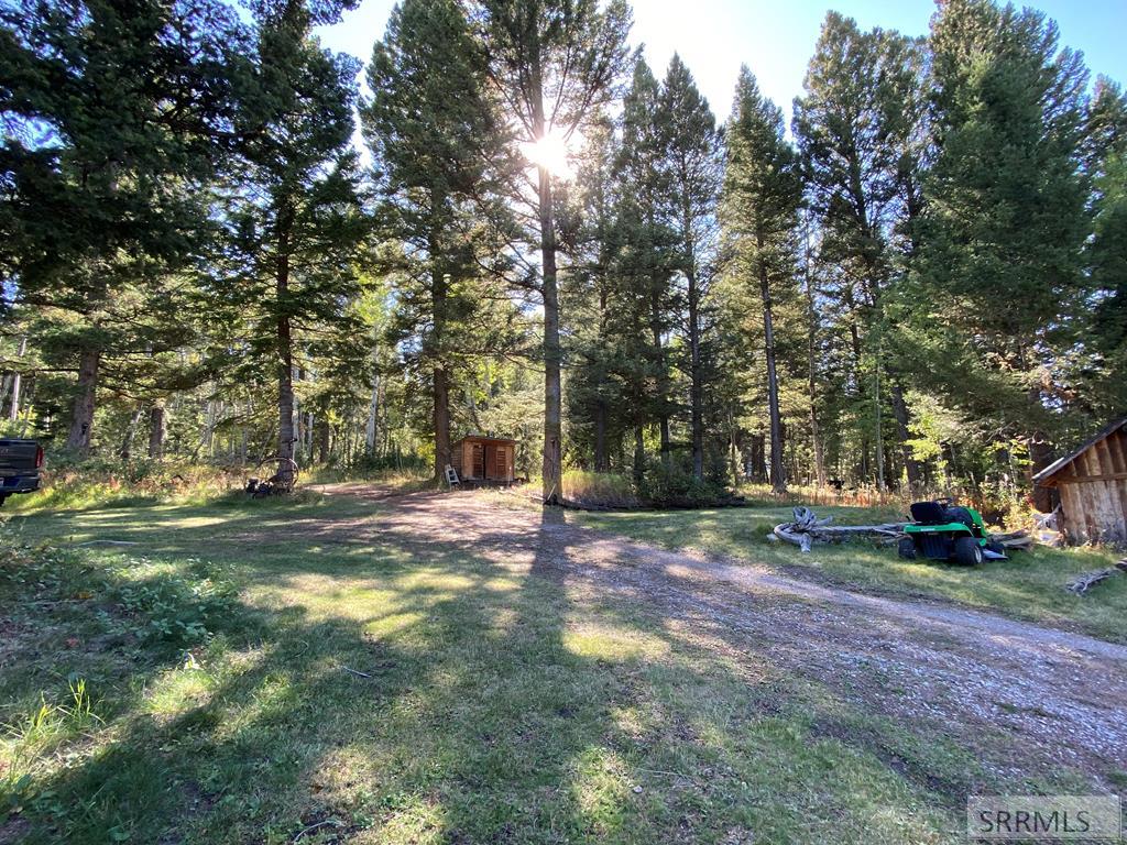 3616 Red Rock Road Island Park, ID 83429 - Photo 7 of 45 Back of property