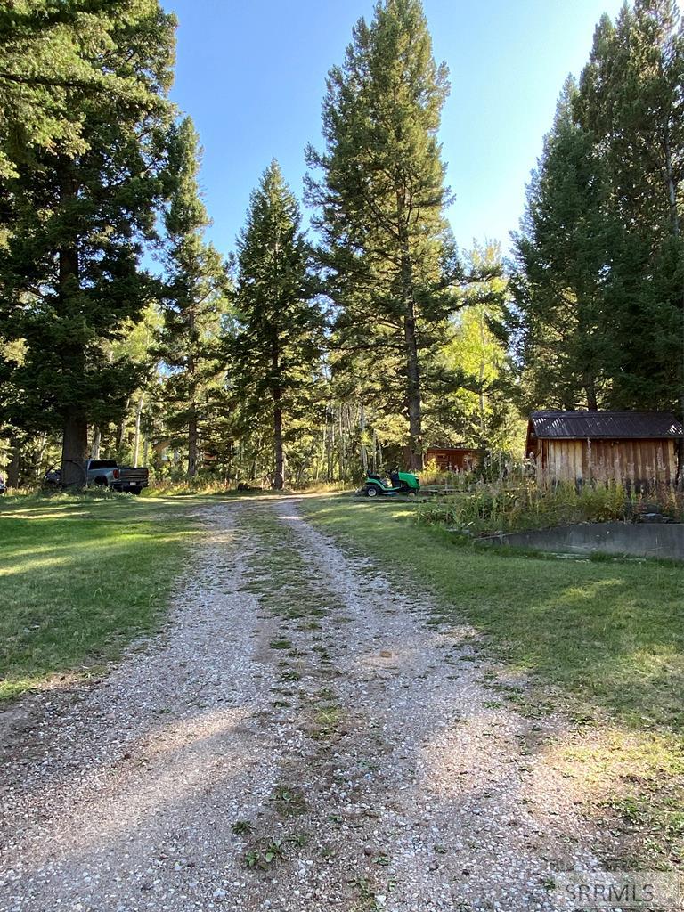 3616 Red Rock Road Island Park, ID 83429 - Photo 8 of 45