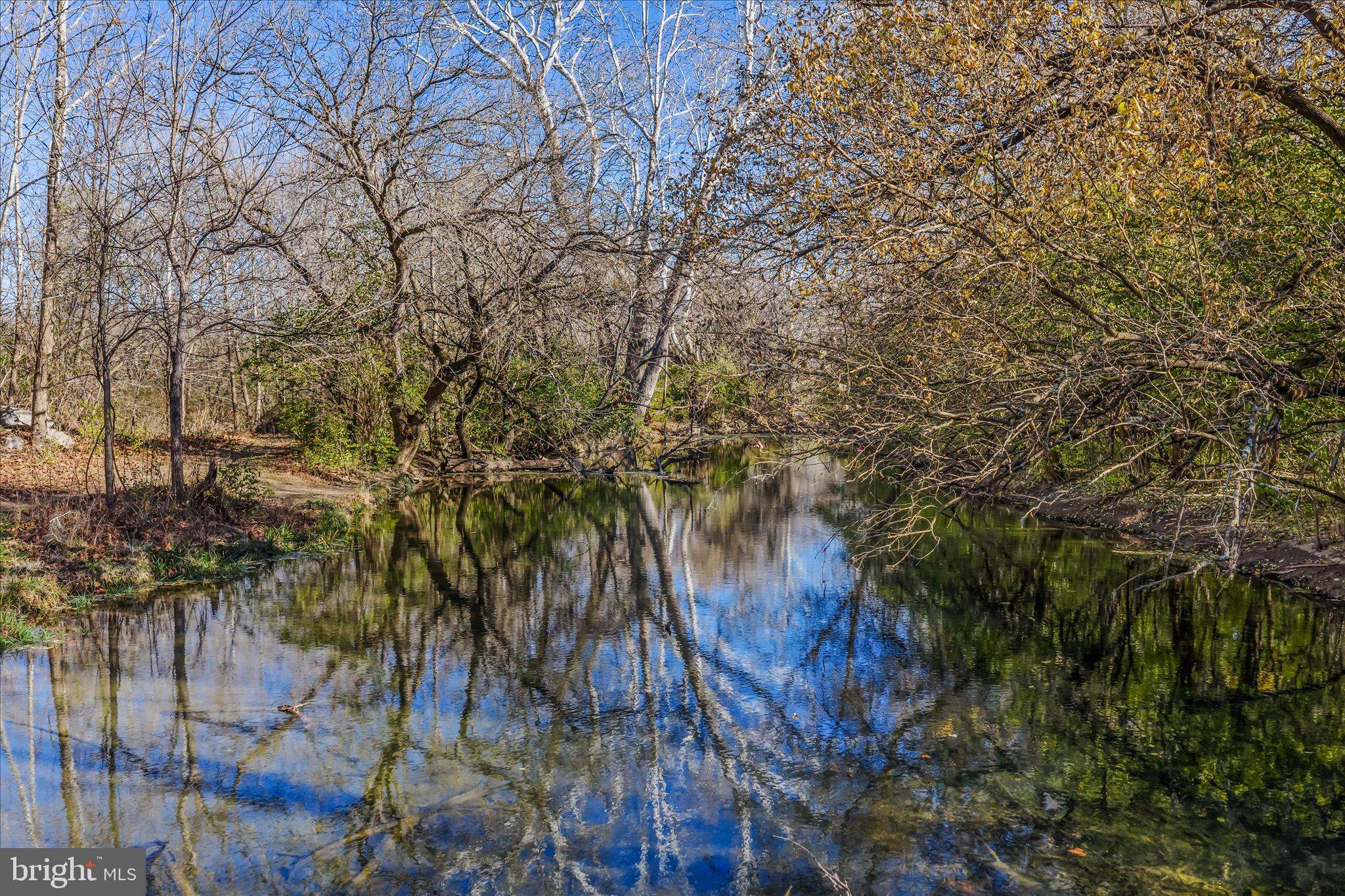 43 Scarboro Drive Bunker Hill, WV 25413 - Photo 42 of 43 a backyard of a house with lots of green space