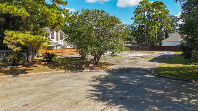a view of a yard with plants and trees