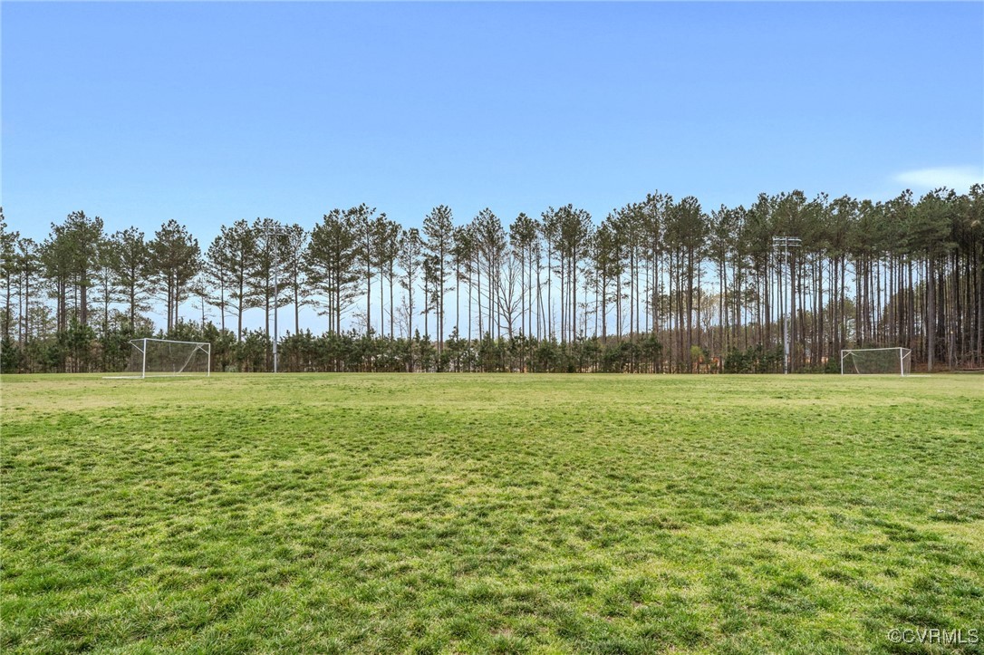 9019 Forge Gate Lane Chesterfield, VA 23832 - Photo 43 of 47 a view of a yard with a tree