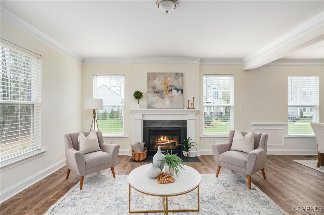 9019 Forge Gate Lane Chesterfield, VA 23832 - Photo 9 of 47 a living room with furniture and a fireplace