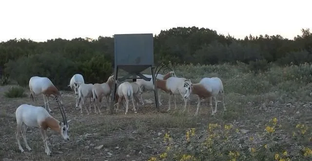 a view of a table and chairs in patio