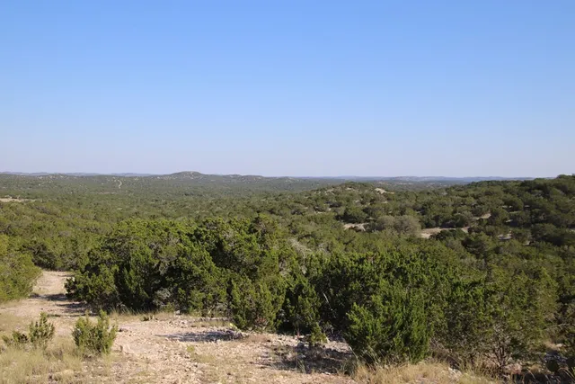 a view of a city with lush green forest