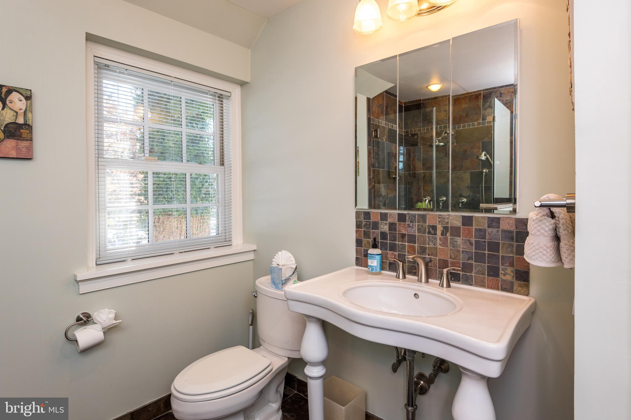 501 Edann Road Glenside, PA 19038 - Photo 36 of 60 Primary Bath