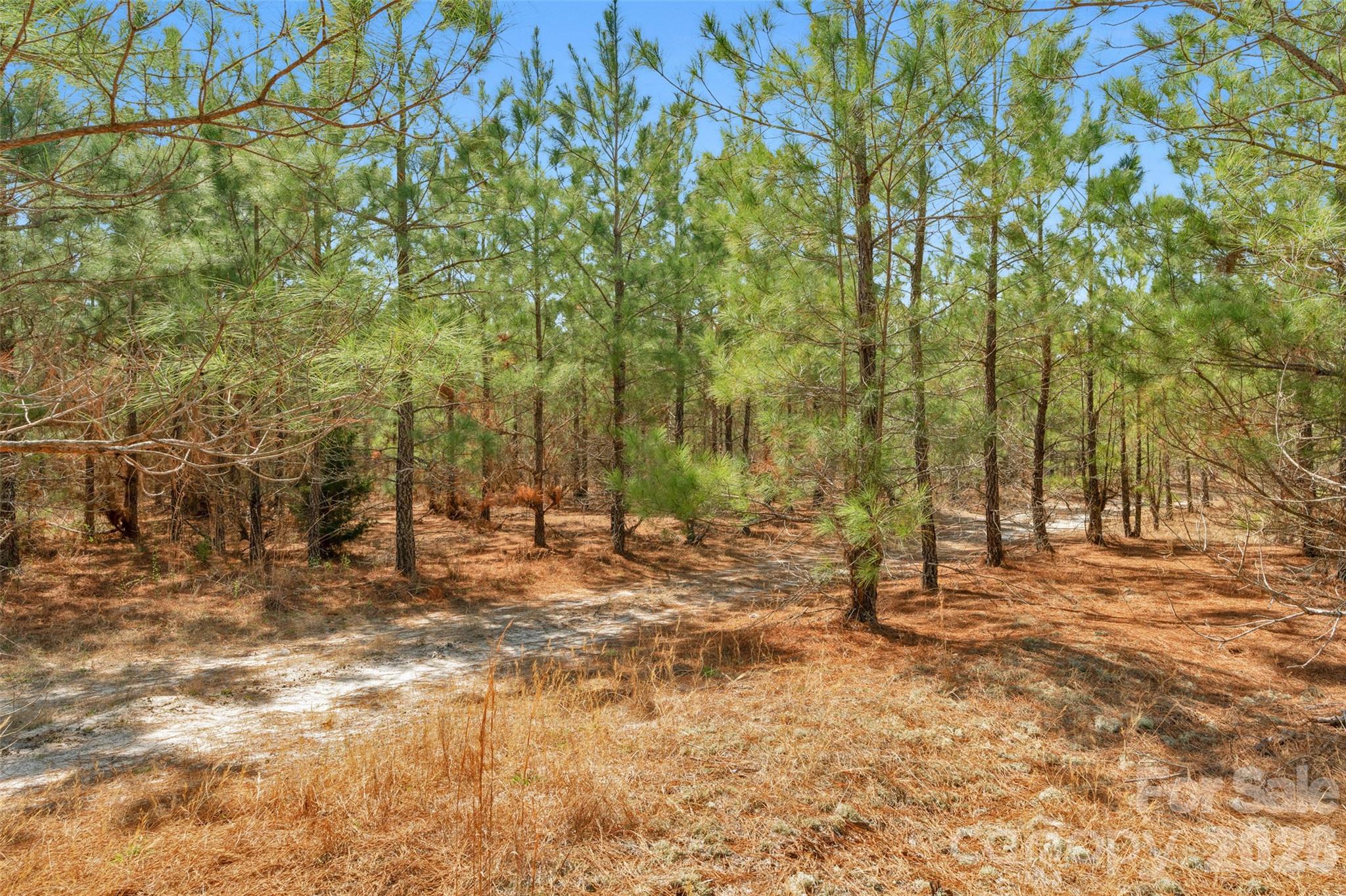 931 Charlie Johnson Road, Unit 7 Kershaw, SC 29067 - Photo 28 of 34