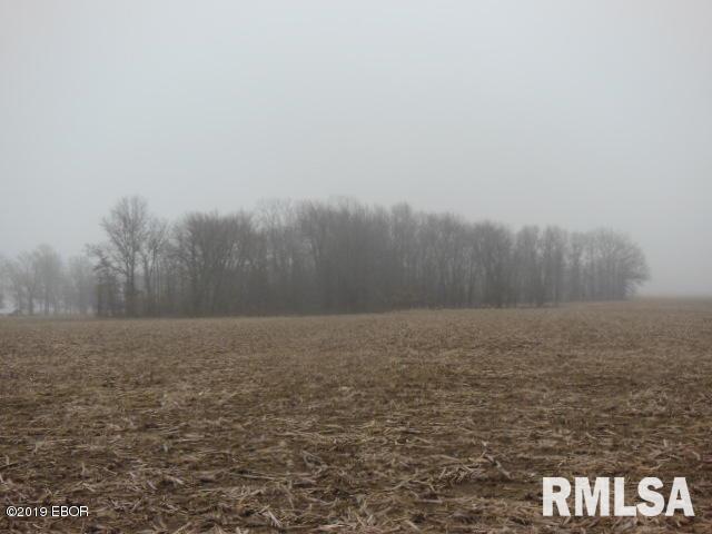 0 Lily Road Clay City, IL 62824 - Photo 3 of 4 Gallery Image 3