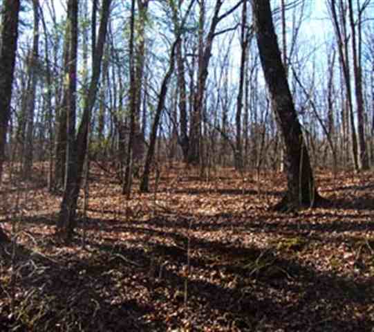 0 Chinquapin Road Easley, SC 29640 - Photo 4 of 6