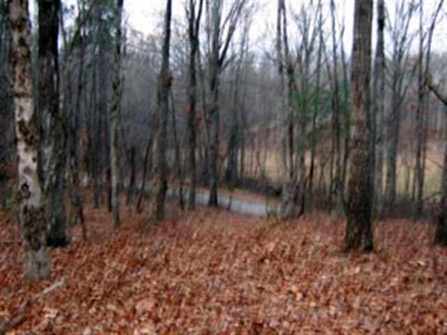 0 Chinquapin Road Easley, SC 29640 - Photo 5 of 6