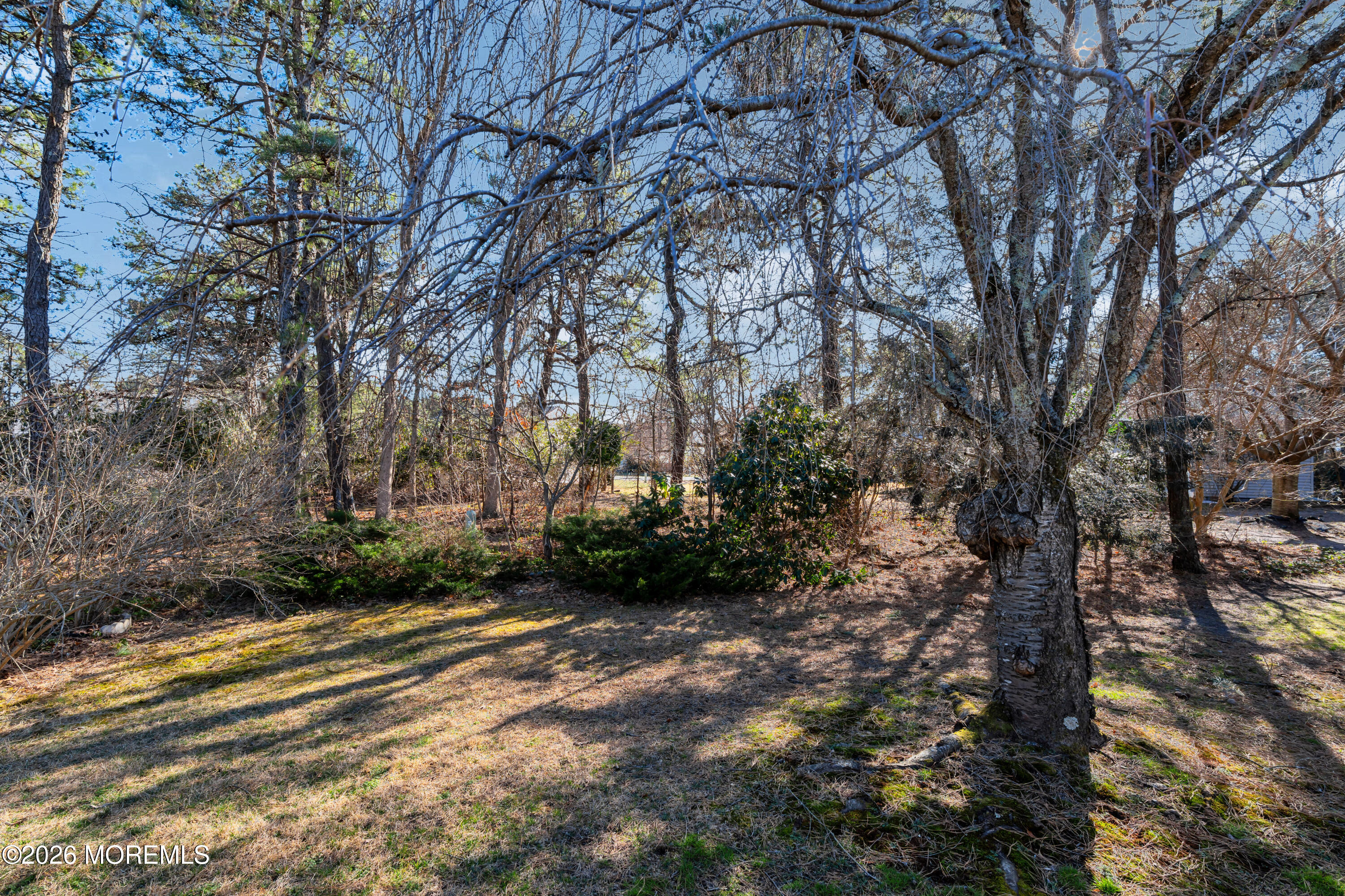 16 B Amesbury Road Whiting, NJ 08759 - Photo 21 of 23 41-print-DSC00184