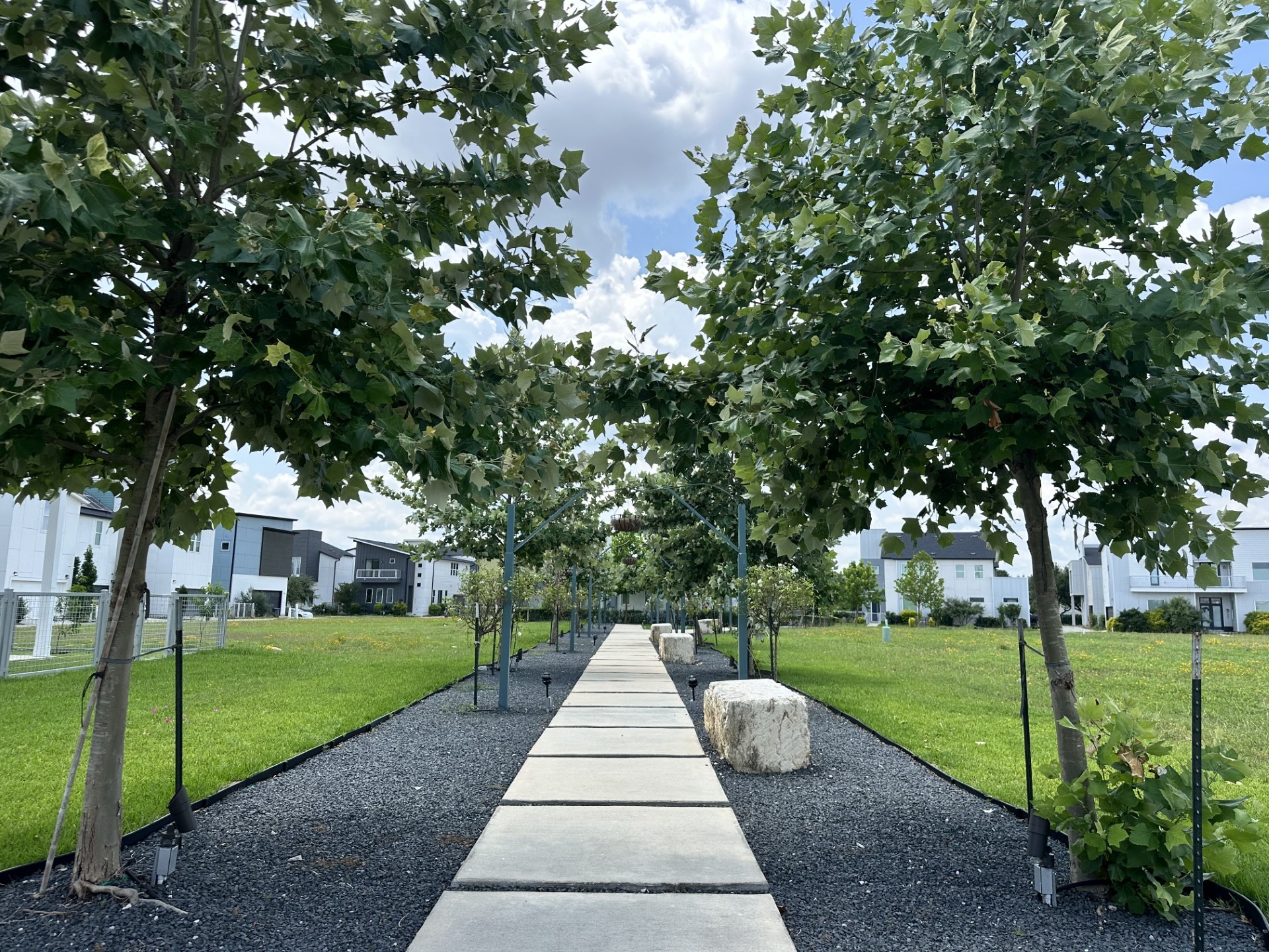 3311 Cardinal Crest Lane Houston, TX 77080 - Photo 7 of 14 Lighted Path to Pool