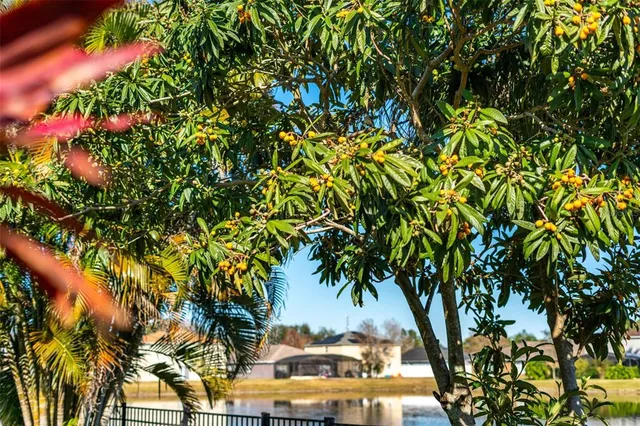 $575,000 | 1015 Seneca Falls Drive, Orlando, FL 32828