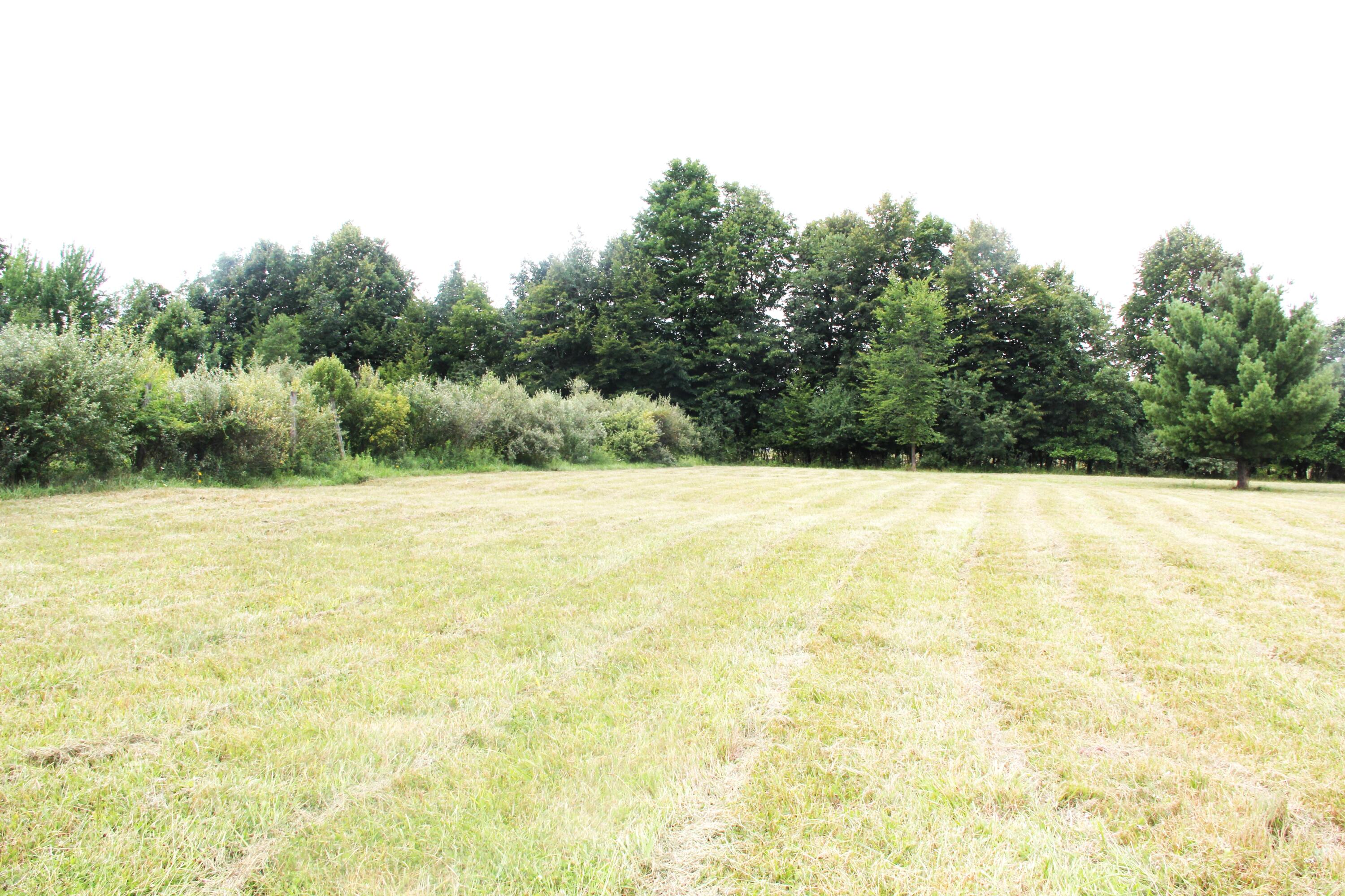 12817 Yale Road Yale, MI 48097 - Photo 11 of 23 Yale 16