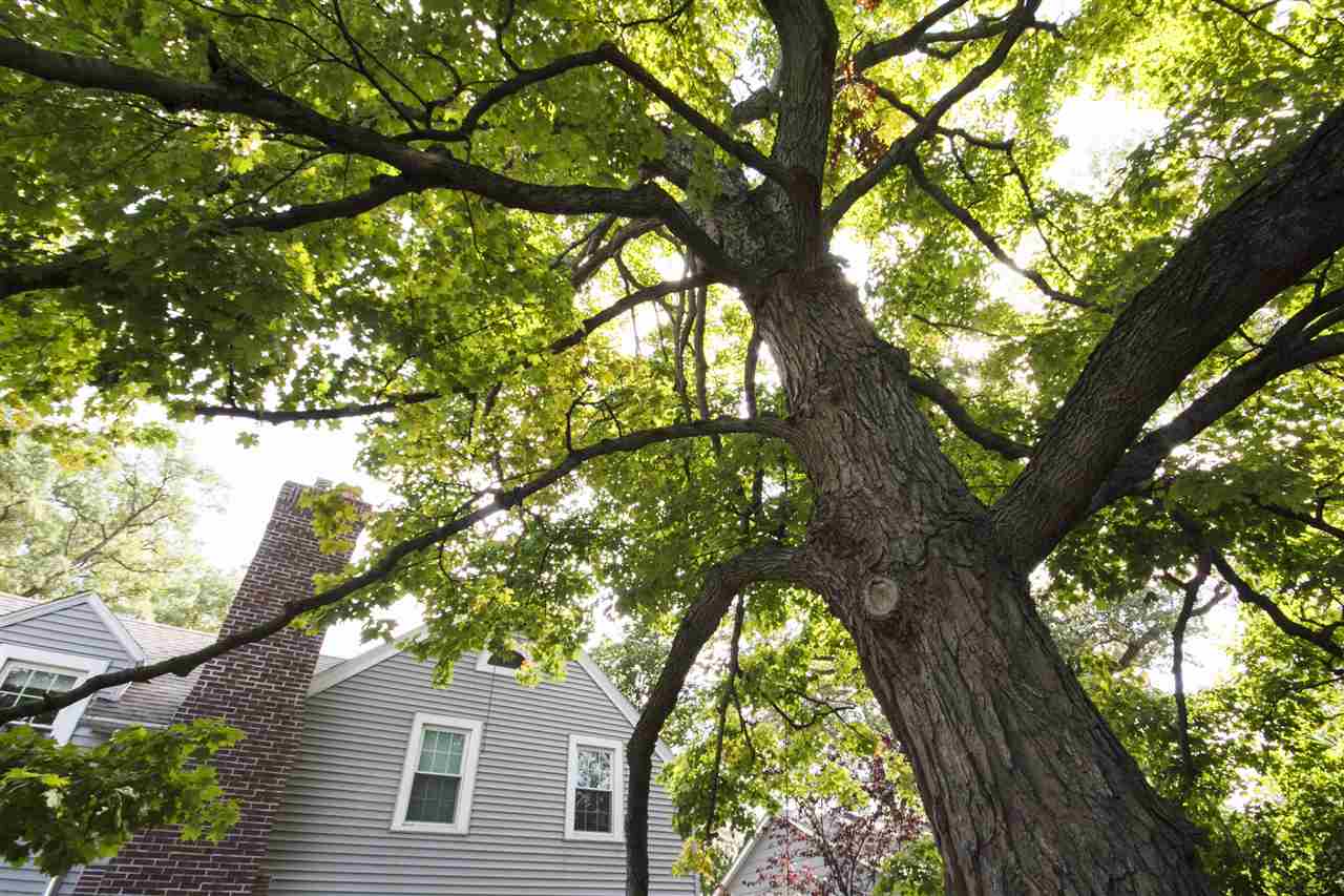 3727 North Washington Road Fort Wayne, IN 46802 - Photo 29 of 32
