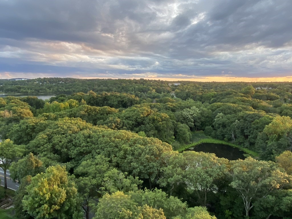 111 Perkins Street, Unit 186 Boston, MA 02130 - Photo 26 of 34 a view of a city with lush green forest