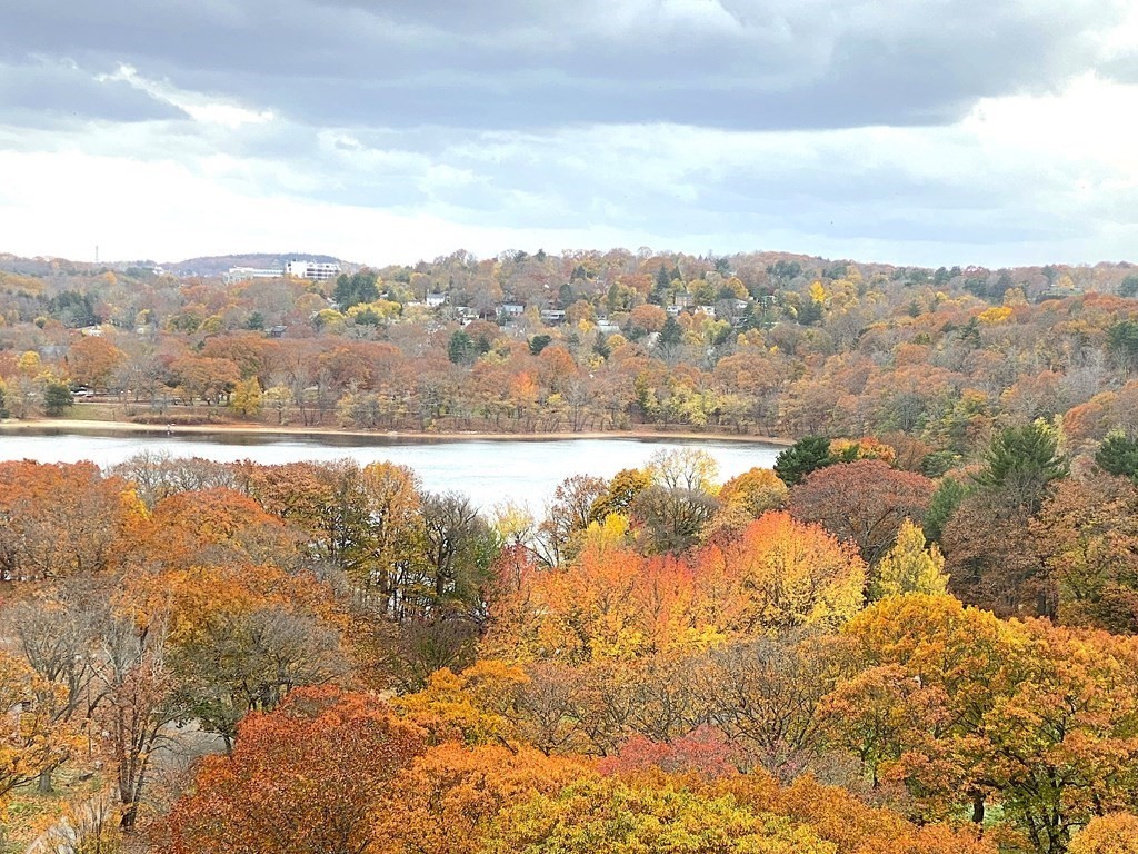 111 Perkins Street, Unit 186 Boston, MA 02130 - Photo 29 of 34 a view of lake view and mountain