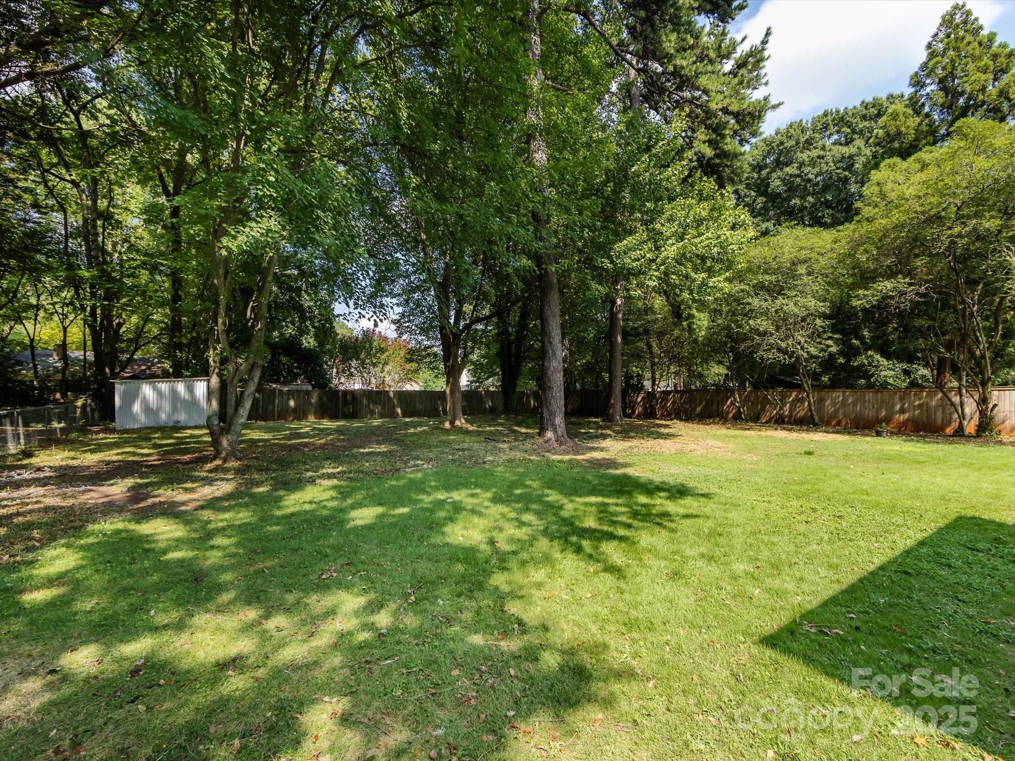 6017 Brace Road Charlotte, NC 28211 - Photo 40 of 47 a backyard of a house with lots of green space