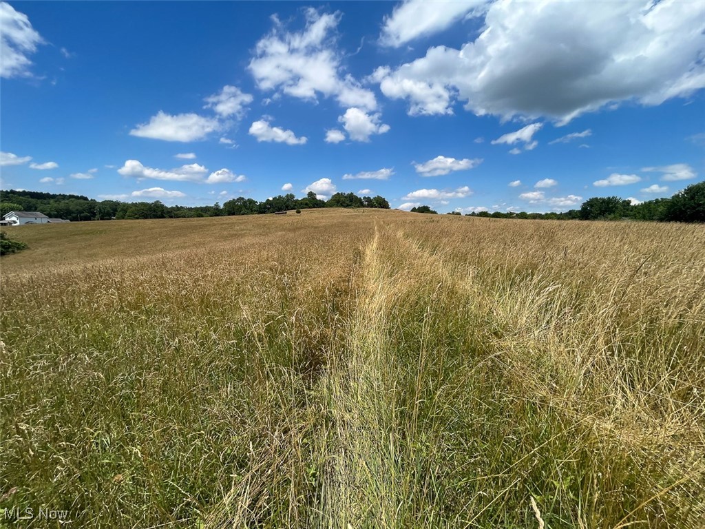 45559 Old Hopedale Road Cadiz, OH 43907 - Photo 24 of 26 View of undeveloped land featuring rural landscape