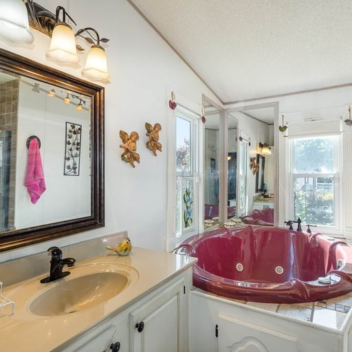 107 New Deal Potts Road Cottontown, TN 37048 - Photo 31 of 31 a bathroom with a sink and a mirror