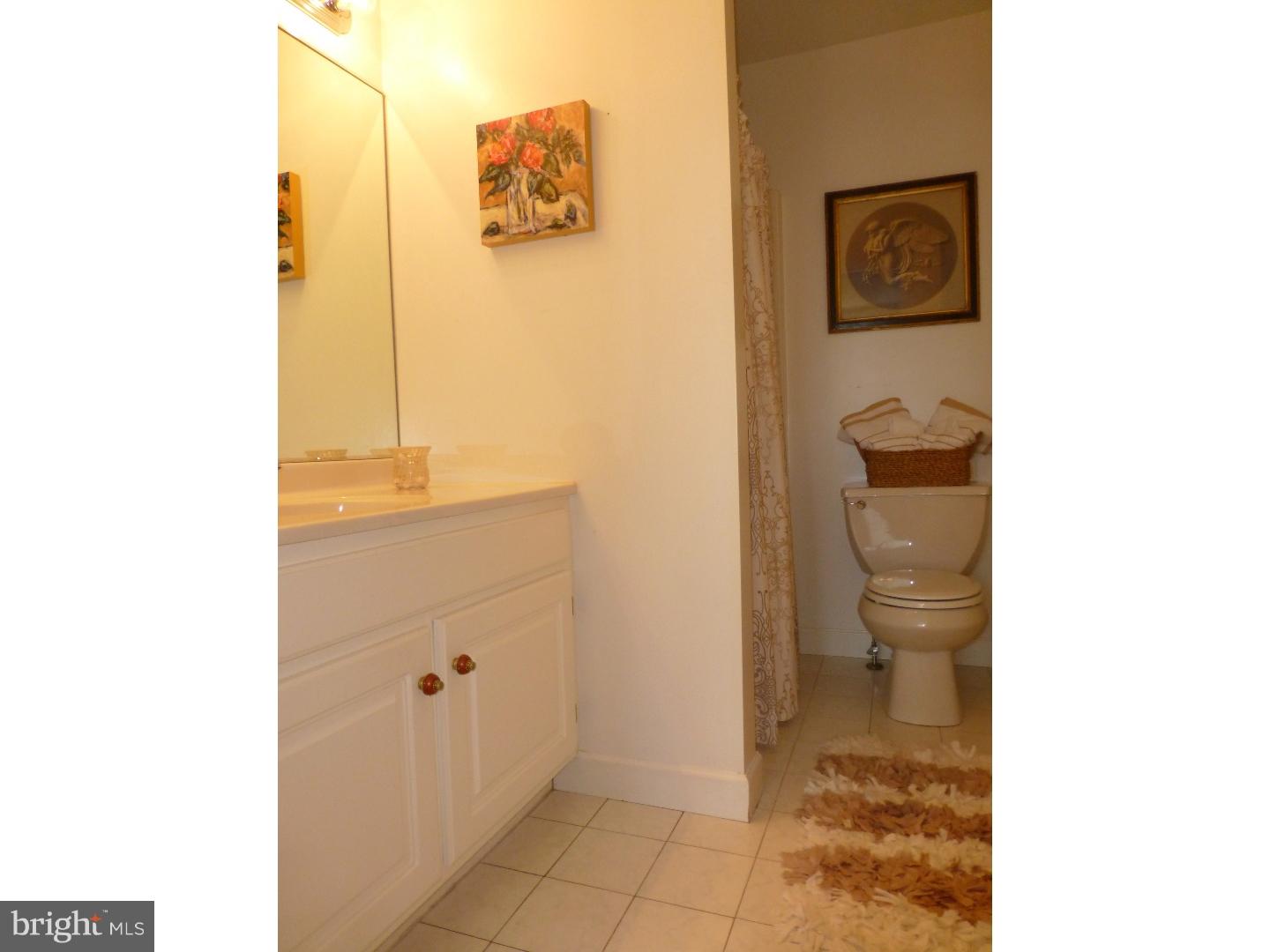 1530 Huron Drive Sinking Spring, PA 19608 - Photo 14 of 17 Bathroom