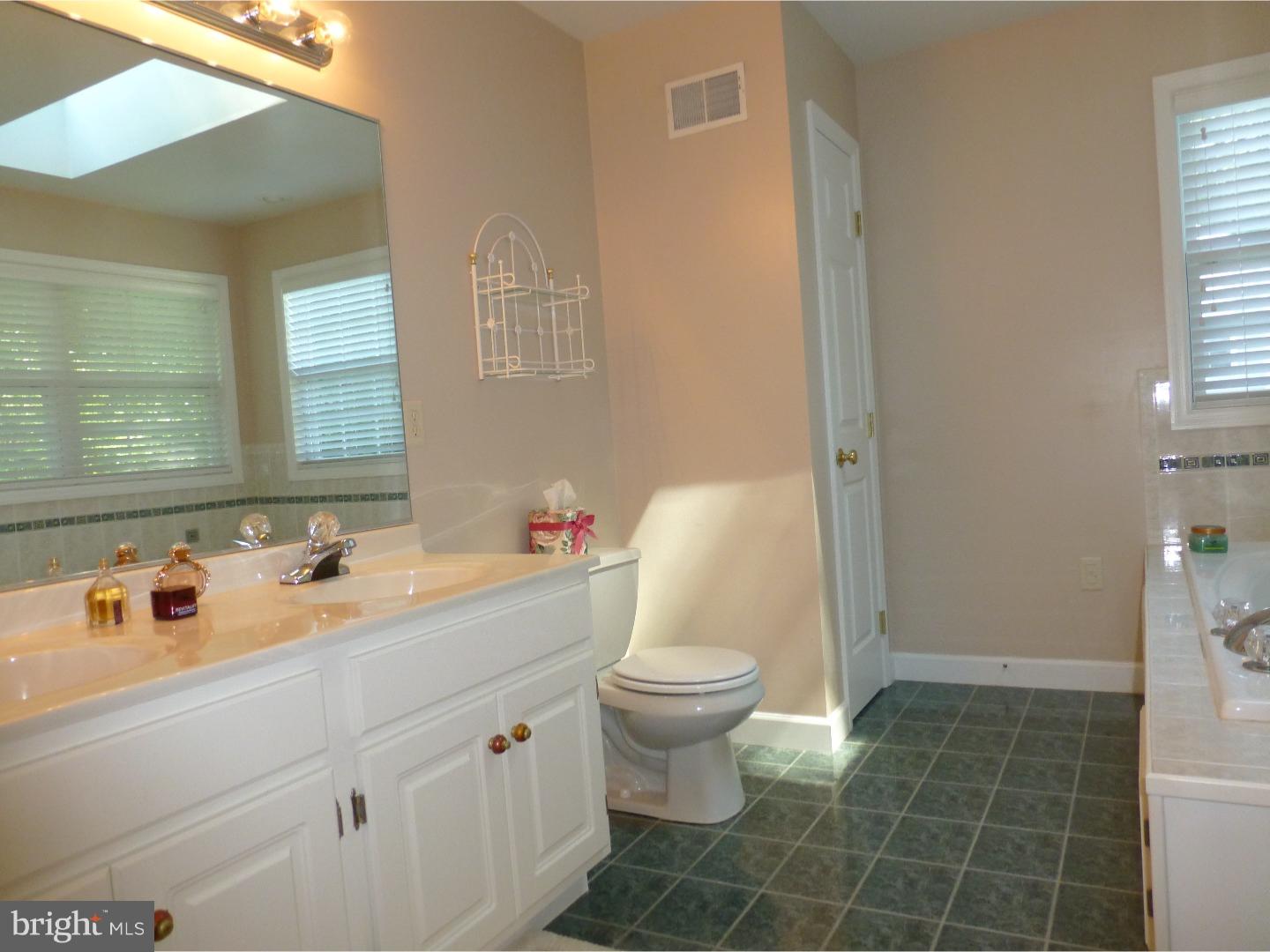 1530 Huron Drive Sinking Spring, PA 19608 - Photo 16 of 17 Master Bathroom