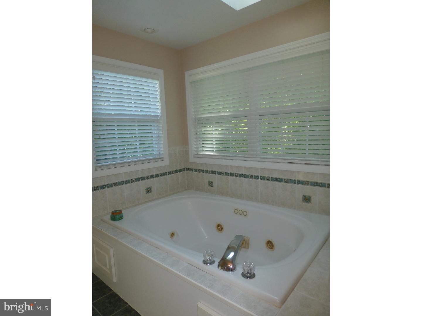1530 Huron Drive Sinking Spring, PA 19608 - Photo 17 of 17 Master Bathroom