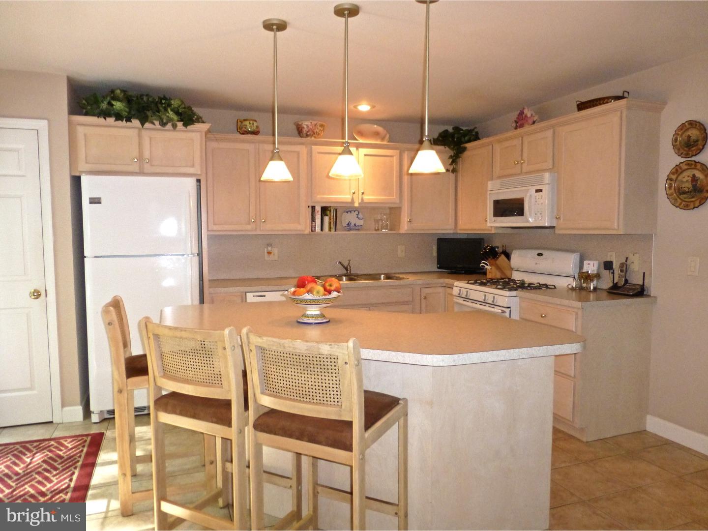1530 Huron Drive Sinking Spring, PA 19608 - Photo 8 of 17 Kitchen