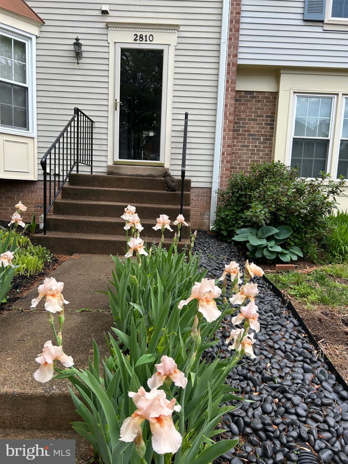 2810 Andiron Lane Vienna, VA 22180 - Photo 35 of 37 a bunch of flowers in front of the house
