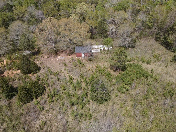 146 Horseshoe Road Iva, SC 29655 - Photo 6 of 15