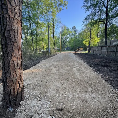 a view of a yard with plants and trees