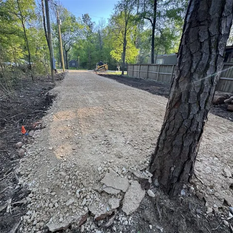 a view of a yard with plants and trees