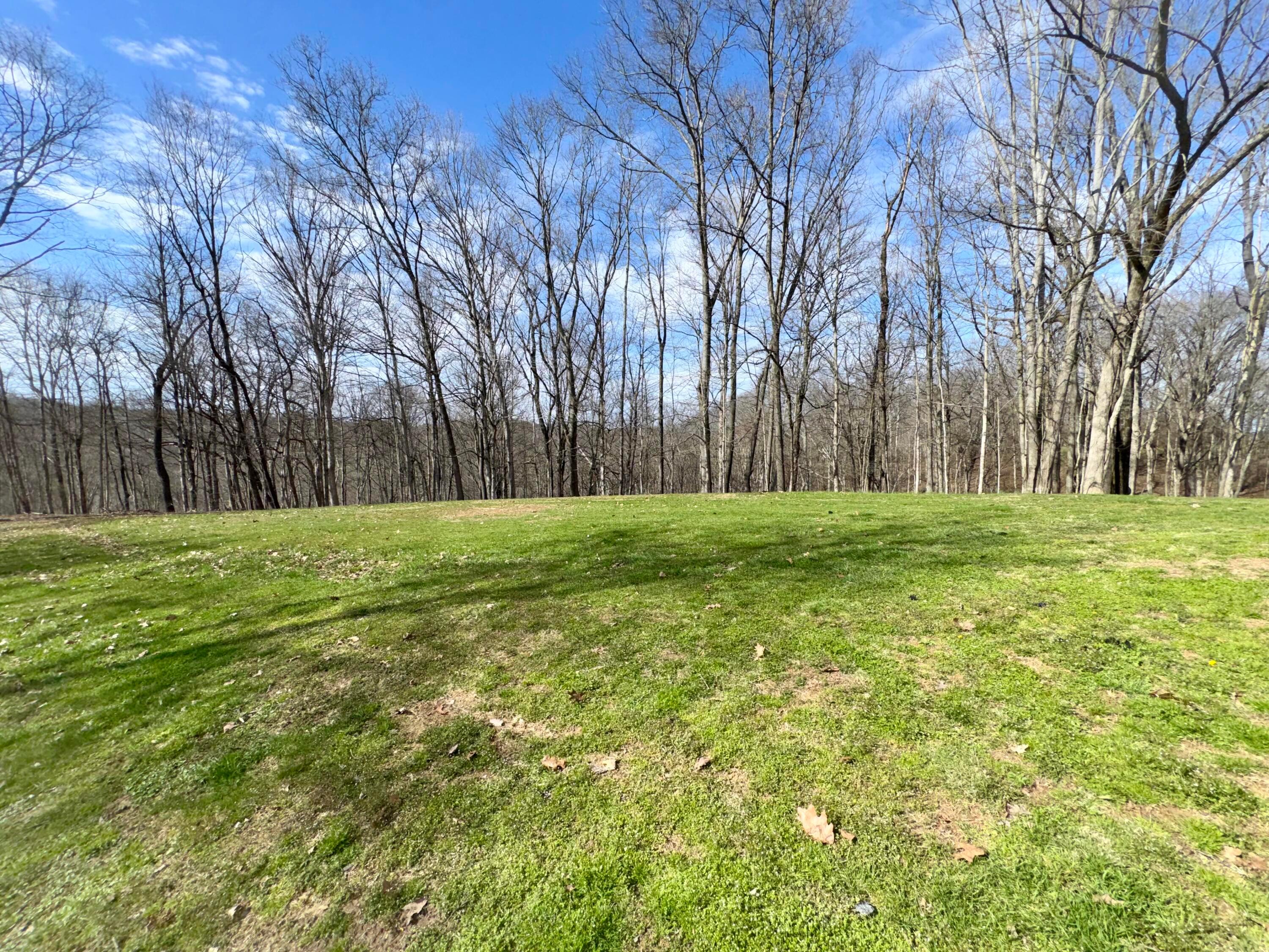7305 Dietrick Hill Road Philo, OH 43771 - Photo 26 of 29 IMG_5772