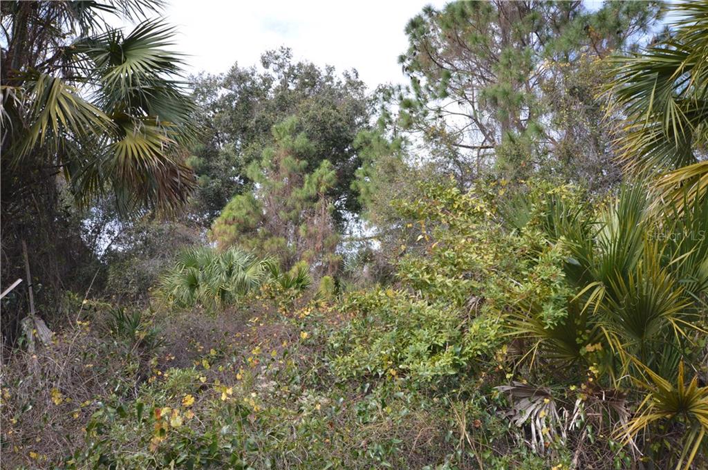 Lot 22 Dustin Road North Port, FL 34288 - Photo 1 of 1 Gallery Image 1