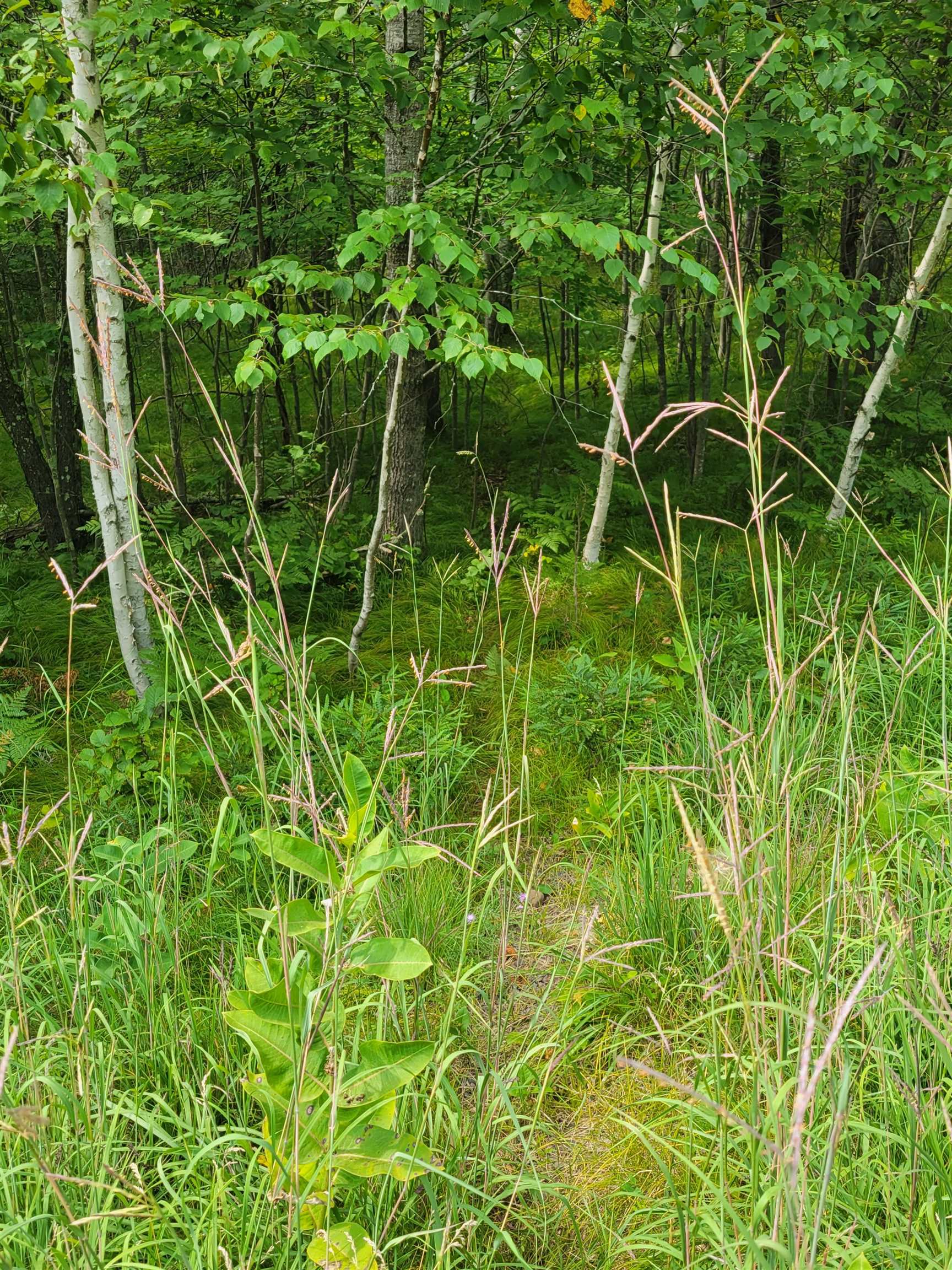 Thorn Lake Loop, Unit 25 Gordon, WI 54838 - Photo 11 of 12