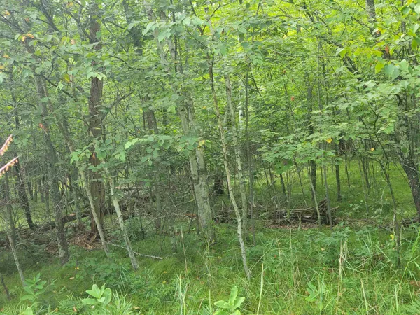 $30,000 | Thorn Lake Loop, Unit 25, Gordon, WI 54838