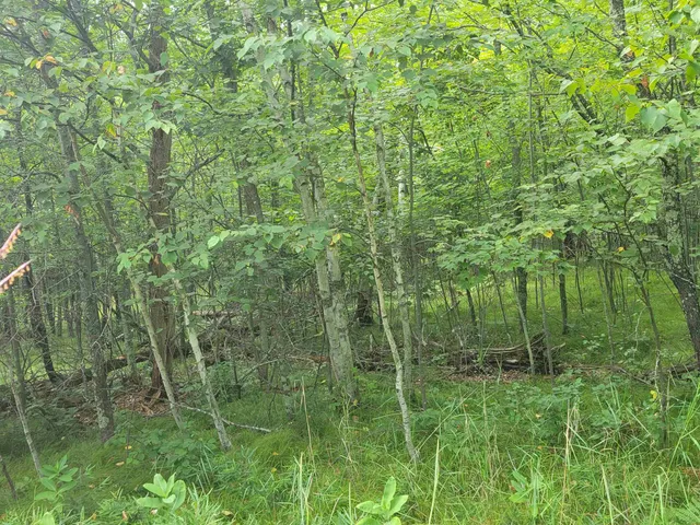 $30,000 | Thorn Lake Loop, Unit 25, Gordon, WI 54838