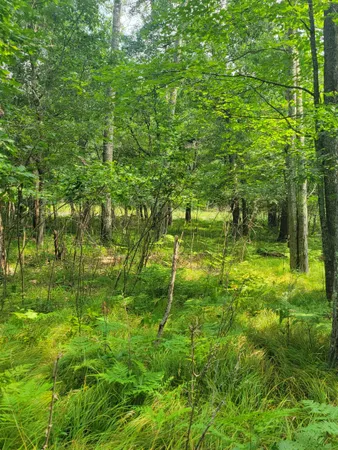 $30,000 | Thorn Lake Loop, Unit 25, Gordon, WI 54838
